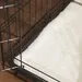 Bone Dry Ultra Soft White Faux Fur Pet Crate Liner In Xxxl