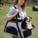 Foldable Mesh And Cloth Pet Carry Bag