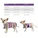 Extra Small Aztec Purple Dog Poncho