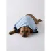 Bone Dry Pet Towel With Pockets In Blue