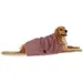 Bone Dry Pet Grooming Microfiber Towel In Cranberry Striped Collection