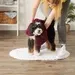 Bone Dry Chenille Pet Drying Towel In Cranberry