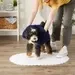 Bone Dry Chenille Pet Drying Towel In Navy